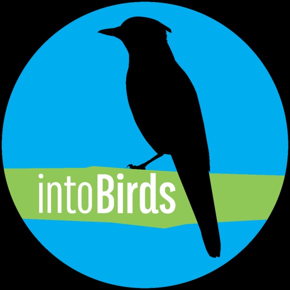 intobirds